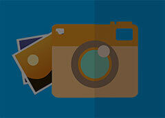 Koalas contra el tiempo: la batalla científica para salvar a una especie entre enfermedad y fragilidad genética