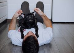 Brasil da un paso histórico: las mascotas podrán tener custodia compartida tras una separación