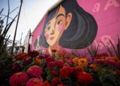 Más infraestructura en pueblos originarios, ¿respuesta estructural o acciones focalizadas?