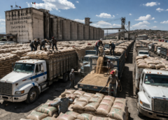 Precio Garantizado inyecta 2,600 millones al acopio de frijol en Zacatecas