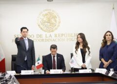 Senado ratifica a Roberto Velasco como nuevo titular de la SRE