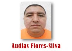 Cae en Nayarit ‘El Jardinero’, pieza clave y posible sucesor del ‘Mencho’