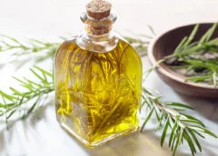 Aceite de romero casero: el remedio natural que vuelve a conquistar hogares y rutinas de belleza