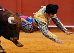 Grave cornada a Morante de la Puebla sacude la Maestranza de Sevilla
