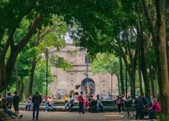 Coyoacán: Tradición de barrio y circuitos culturales
