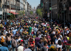 Derrama económica de 10 de mayo contrasta con cifras de desaparición nacional